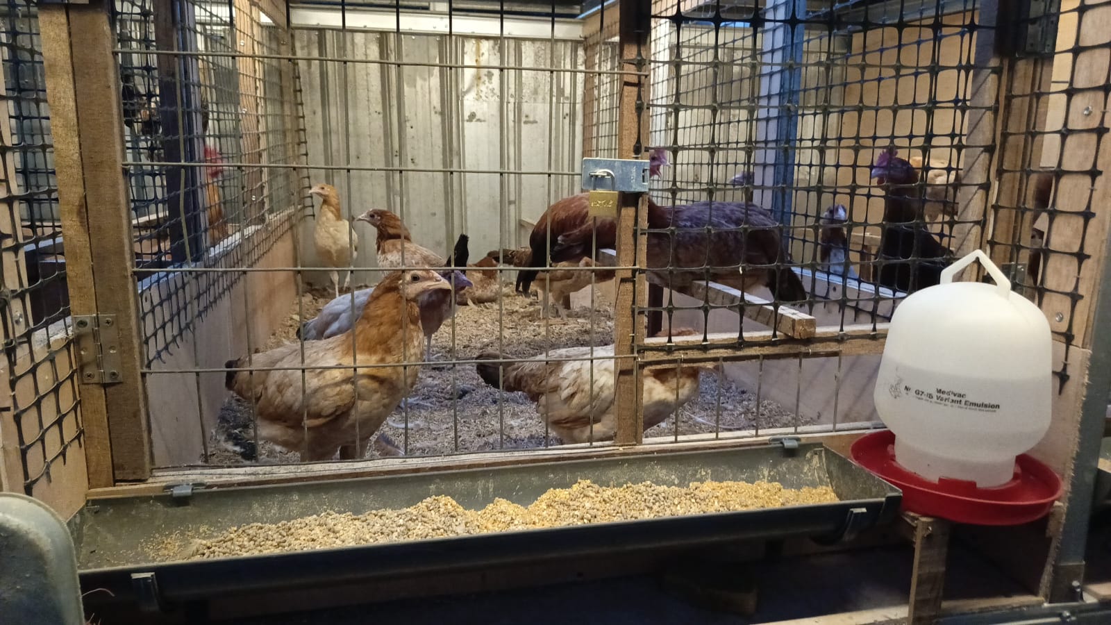 Foto Kandang