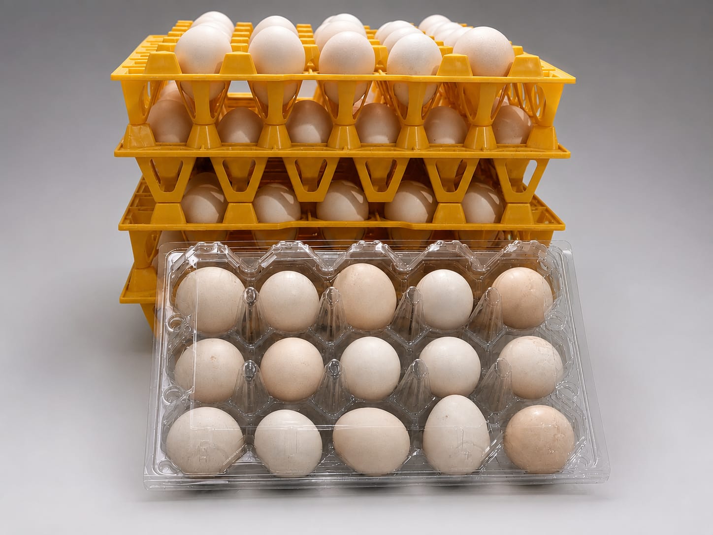Foto Telur Ayam Kampung